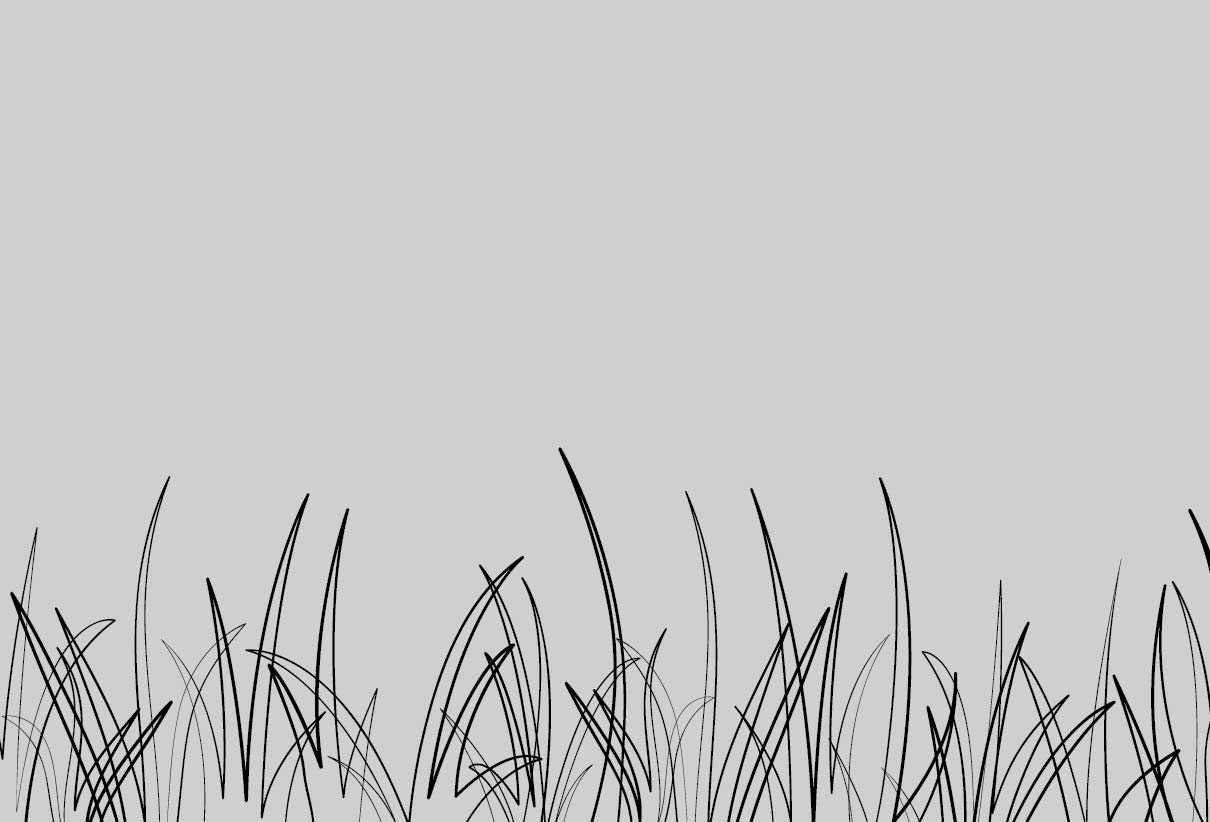 Web-540x394-Grass-10-CoolGray